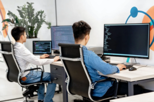 software